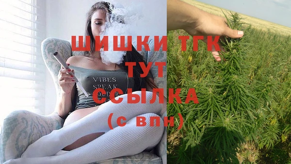 трава Аркадак