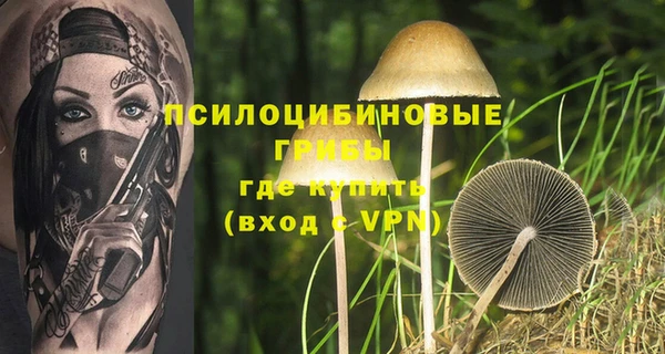 трава Аркадак