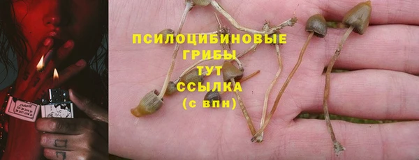 ПСИЛОЦИБИНОВЫЕ ГРИБЫ Кукмор