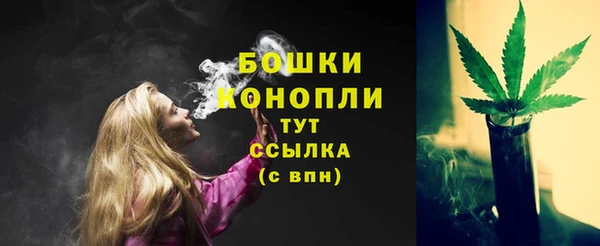 трава Аркадак