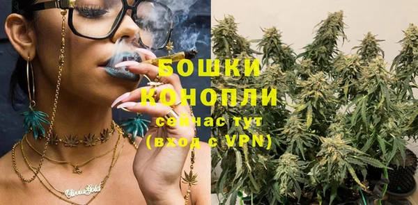 трава Аркадак