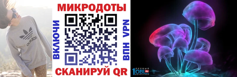 Галлюциногенные грибы прущие грибы закладки Аркадак